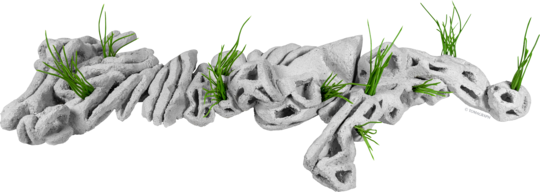 Radu Nițescu / în inima pustiului, la malul Cișmigiului