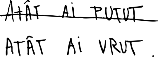 Atat Ai Putut - Tote Bag