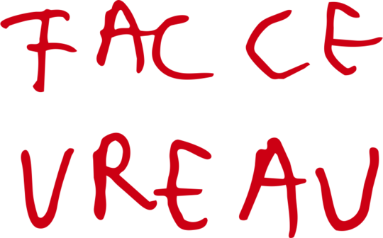 fac-ce-vreau2 fac-ce-vreau-A3