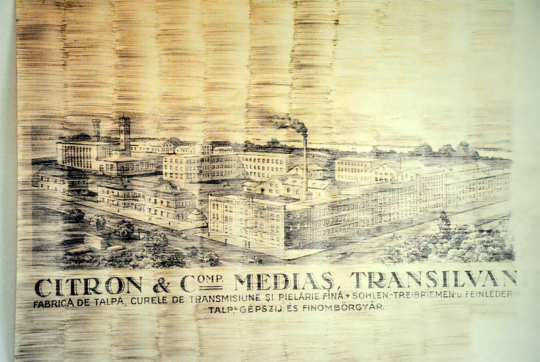 Citron & Comp. Mediaș