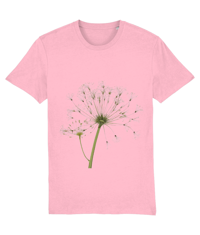 Natural Geometry | Digital Design Creator 2.0 STTU169