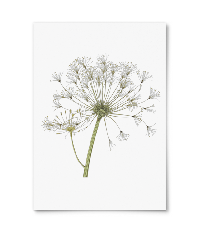 Natural Geometry | Digital Design Photo Matt Fibre 200 | A4 Portrait