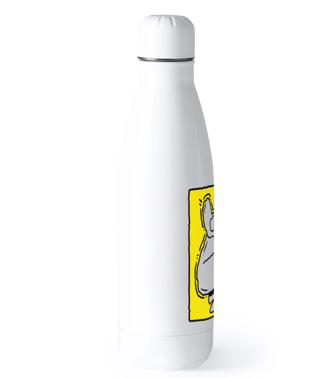 I need  a HUG color Bidon Termic din Oțel Inoxidabil