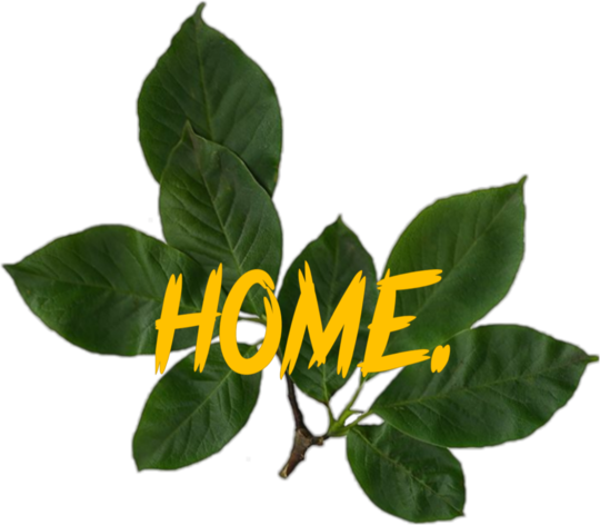 Tablou HOME.