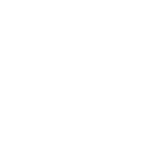 l DHCNFS1