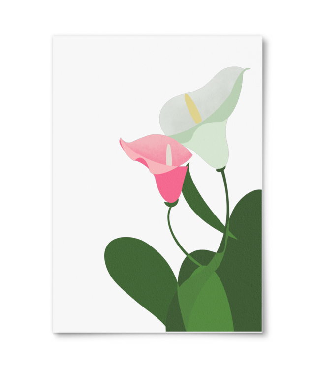 Dăruiește o floare - Calla Lily William Turner | A4 Portrait