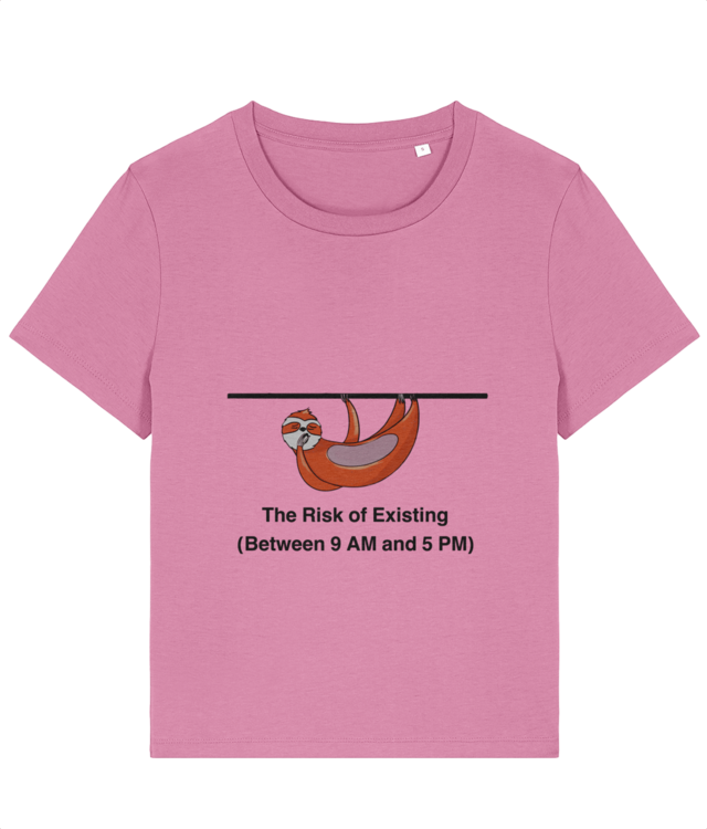 Managerul de risk în timpul programului  Stella Muser STTW172