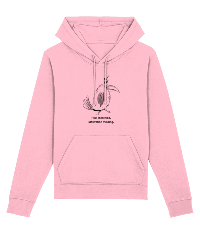 Risk Identified, motivation missing. Drummer 2.0 STSU168