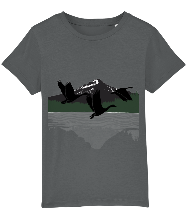     Gâște Sălbatice din Pacific Northwest Mini Creator 2.0
