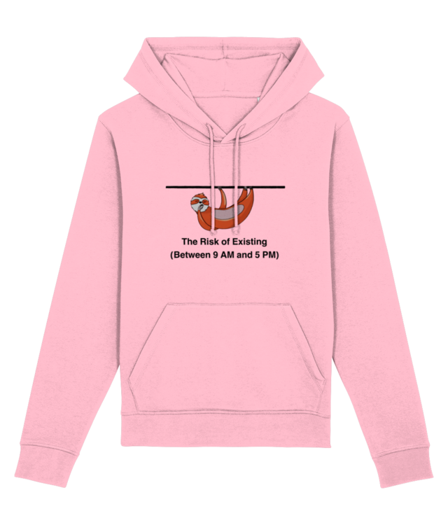 Managerul de risk în timpul programului  Drummer 2.0 STSU168