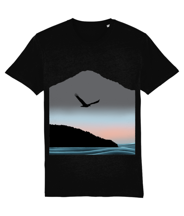 Eagle drifting over Pacific Coast Crafter