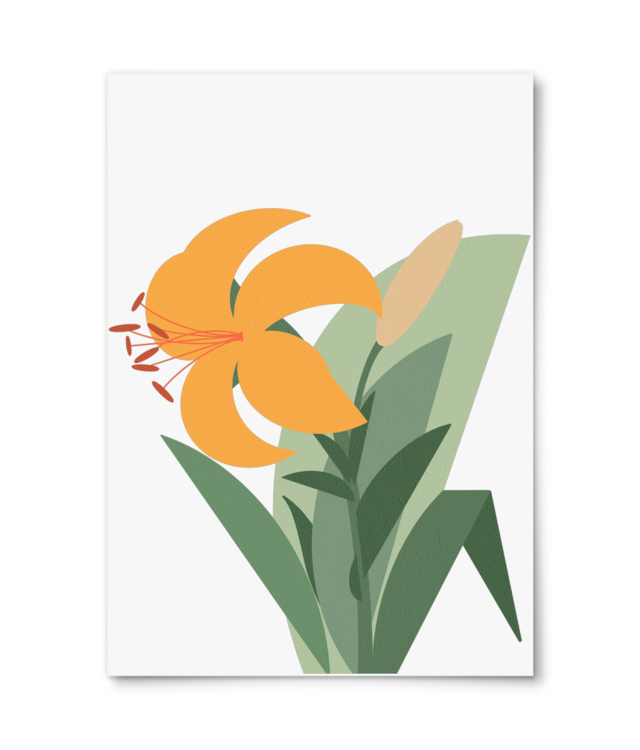 Daruieste o floare - Crin William Turner | A4 Portrait