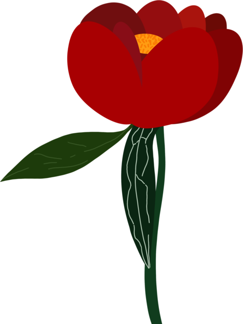 Bujor