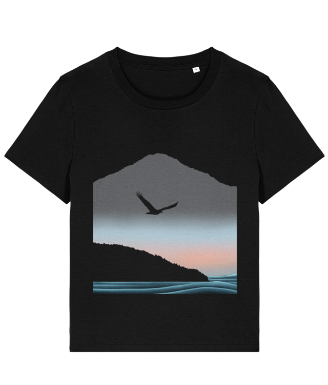 Eagle drifting over Pacific Coast Stella Muser STTW172