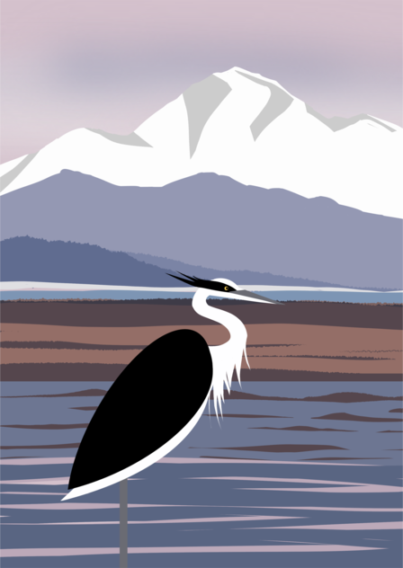 Canadian Pacific Coast - Boundary Bay, Delta