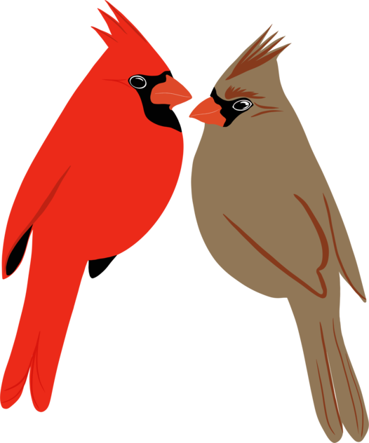 Cardinal love