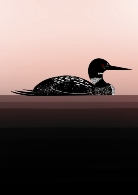 Common loon