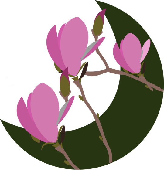 Dăruiește o floare - Magnolie