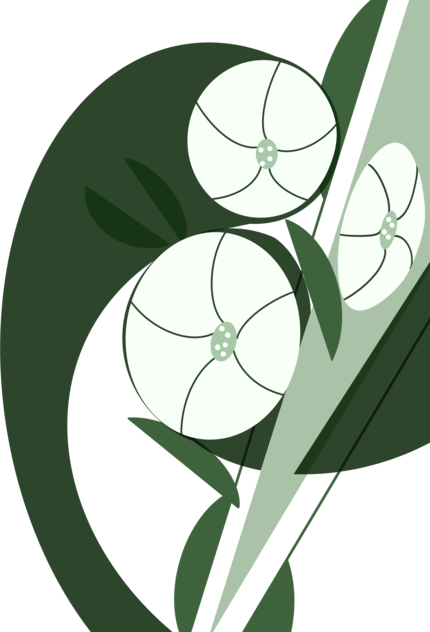 Dăruiește o floare - Petunia