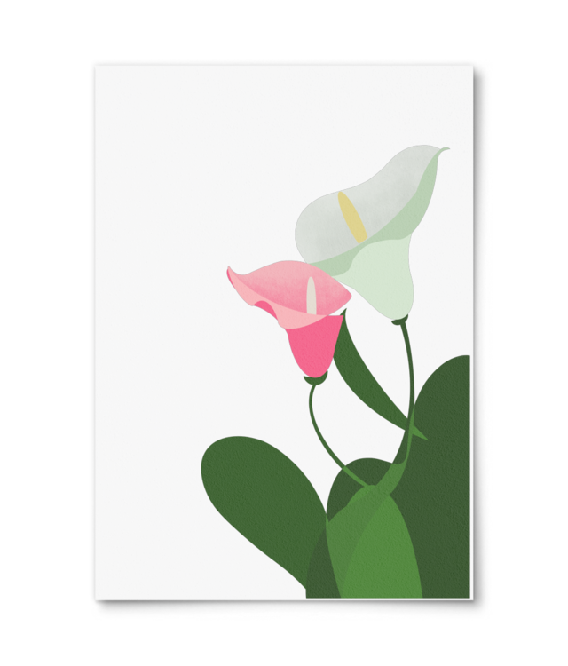 Dăruiește o floare - Calla Lily Photo Matt Fibre 200 | A4 Portrait