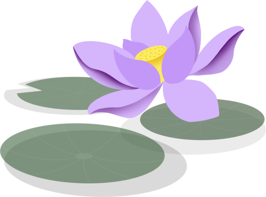 Daruieste o floare - Lotus