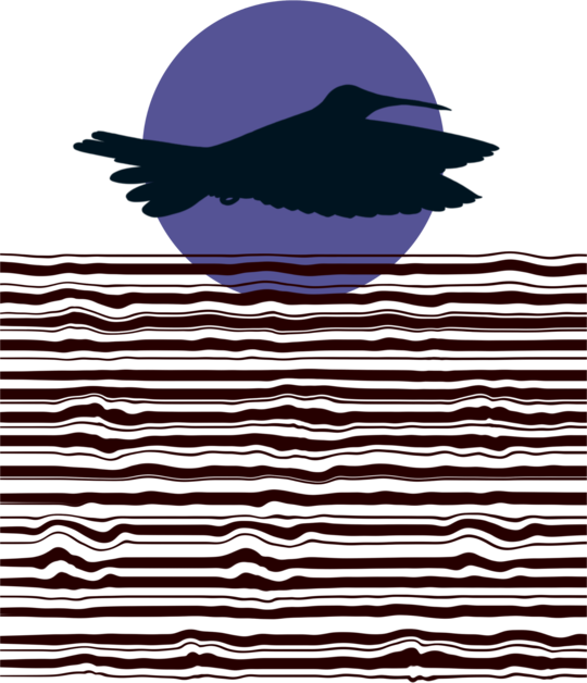 Dream big