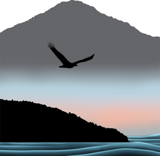 Eagle drifting over Pacific Coast
