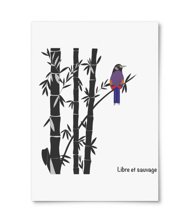     Libre et sauvage Photo Matt Fibre 200 | A4 Portrait