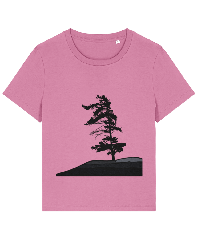 The Windswept Pine Stella Muser STTW172