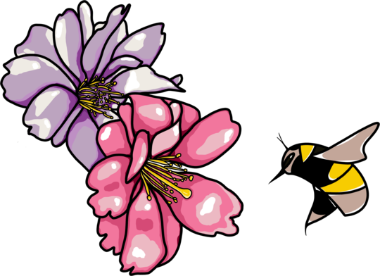 Flowers and bees