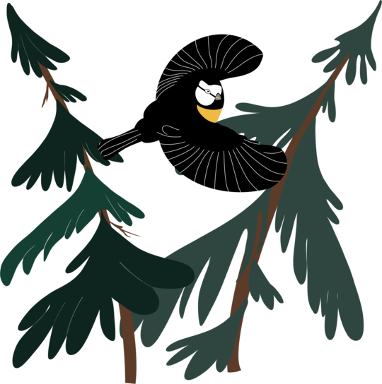 Forest Melody