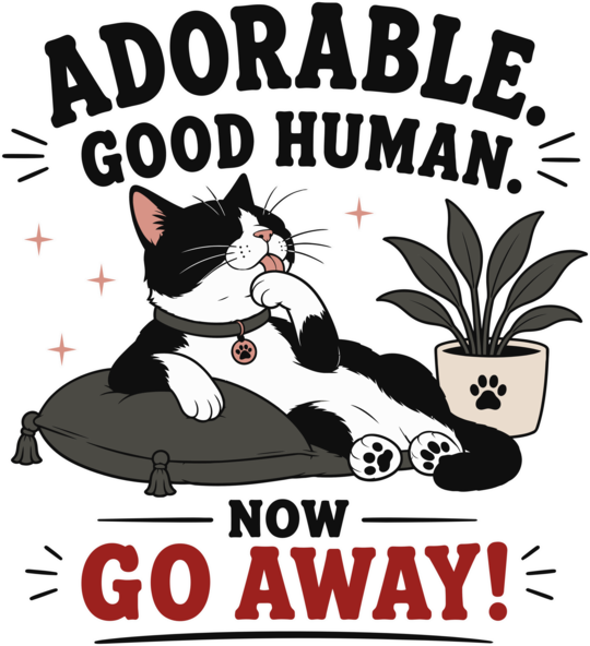 Cat Attitude Humor, Cat Owner Lifestyle, Introvert Humor, Independent Cats, Pet Personality