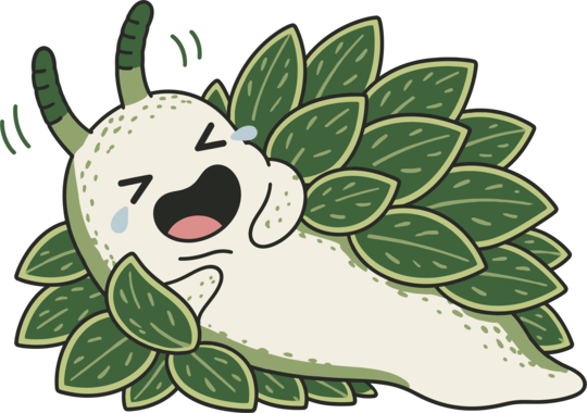 Funny Laughing Leaf Sea Slug Cartoon Cute Ocean Mollusk Nature Humor
