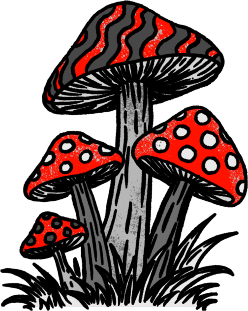 Amanita Hand fullbackprint 19.51.02