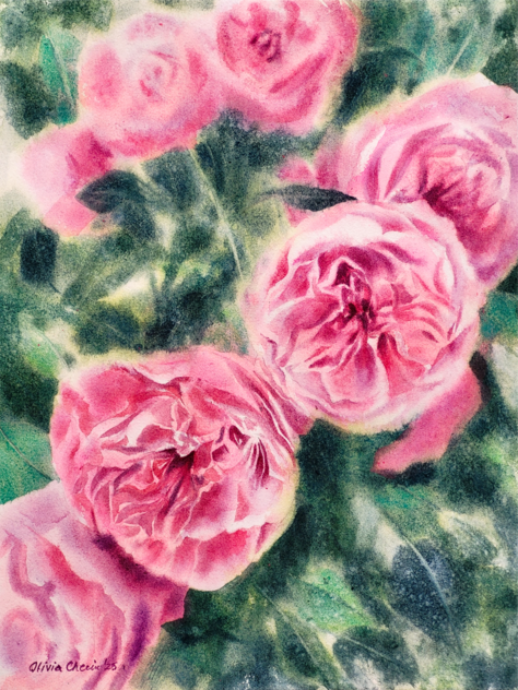 Hot Pink Roses