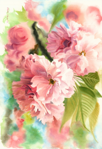 Sakura Blossoms