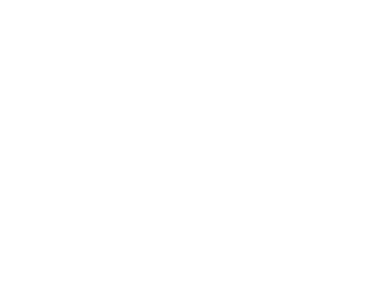 Techno flip effect white