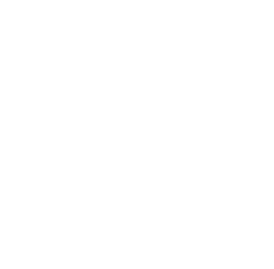 Ambitchous 400dpi