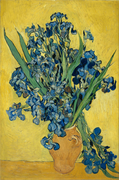 Vincent van Gogh - Irises, 1890