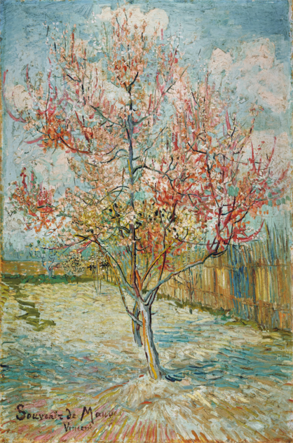 Vincent van Gogh - Pêcher en fleur (Souvenir de Mauve) |1888