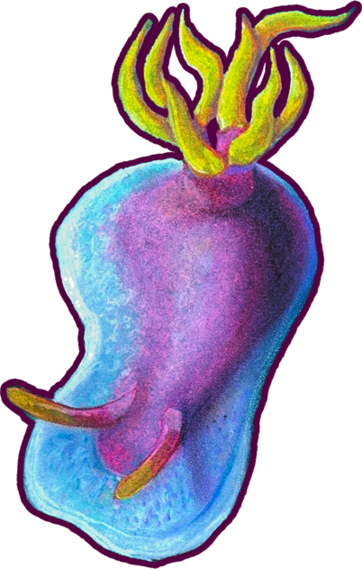 pește no. 7