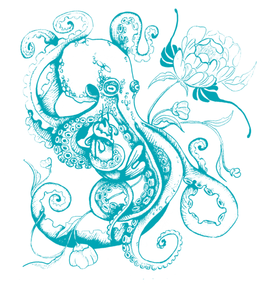 Octopus