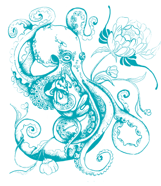 Octopus