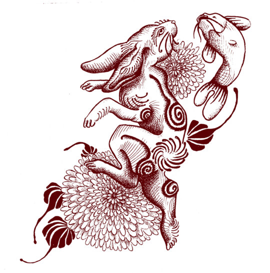 Rabbit
