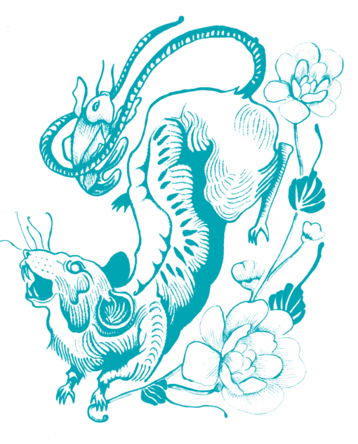 Rat