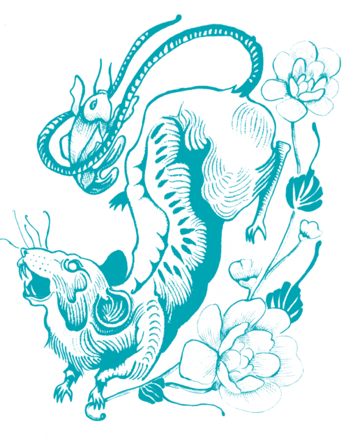 Rat 