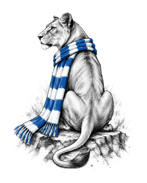 Leoaica Baniei