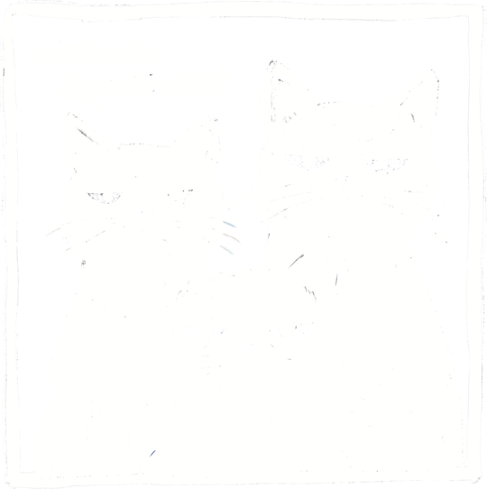 Attitude Department
