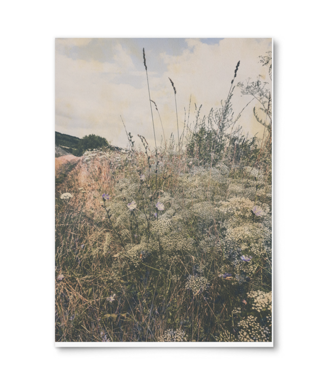 Camp de vara in stil vintage William Turner | A4 Portrait