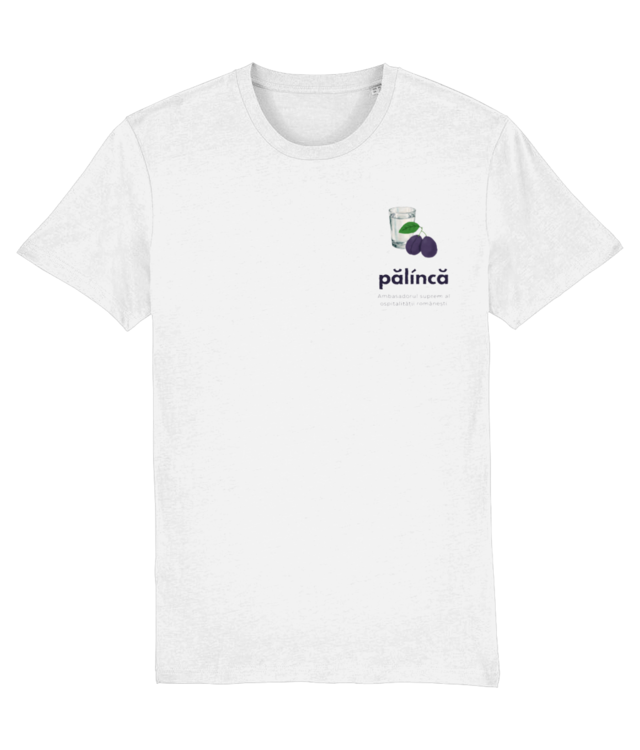 „Pălincă” – Dicționar de Cuvinte din Ardeal Comfort-T | Stedman ST2100